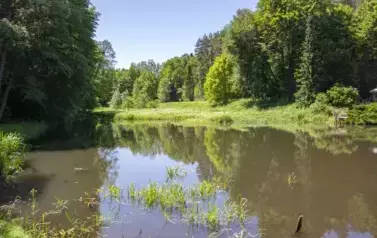 Dolina Brodka 09