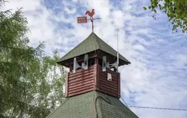 49