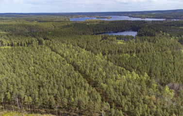 Modre i Jasien 01