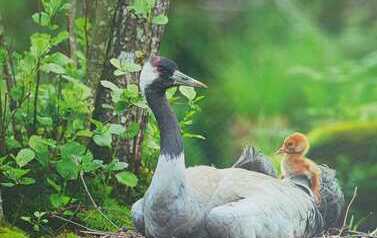 WhatsApp Image 2026-05-19 at 13.56.37 (2).jpeg