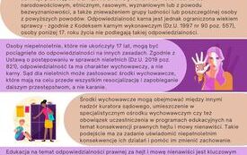 Odpowiedzialność za hejt i mowę nienawiści os&oacute;b niepełnoletnich w polskim prawie