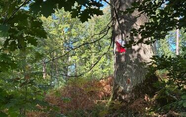 IMG-20260926-WA0075