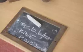 44