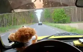 Zdjęcie WhatsApp 2025-05-22 o 08.38.41_637d1438