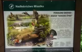 zrodlisko Hamer 03