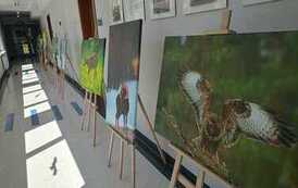 WhatsApp Image 2026-05-19 at 13.56.37.jpeg