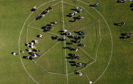 DJI_0923