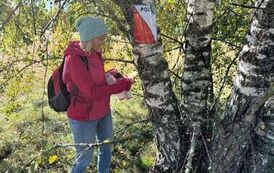 IMG-20260926-WA0068