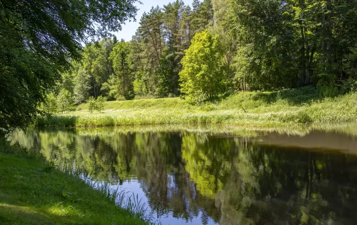 Huczka i Brodek