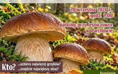 Zdjęcie do Parchowo: Wielkie Grzybobranie
